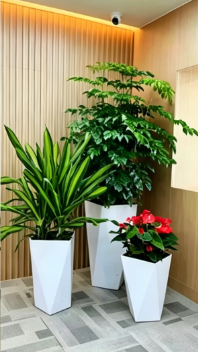 镇海绿植租摆交易-鄞州绿植租赁方案设计-海曙绿化养护行业前景-鄞州花卉租摆服务费